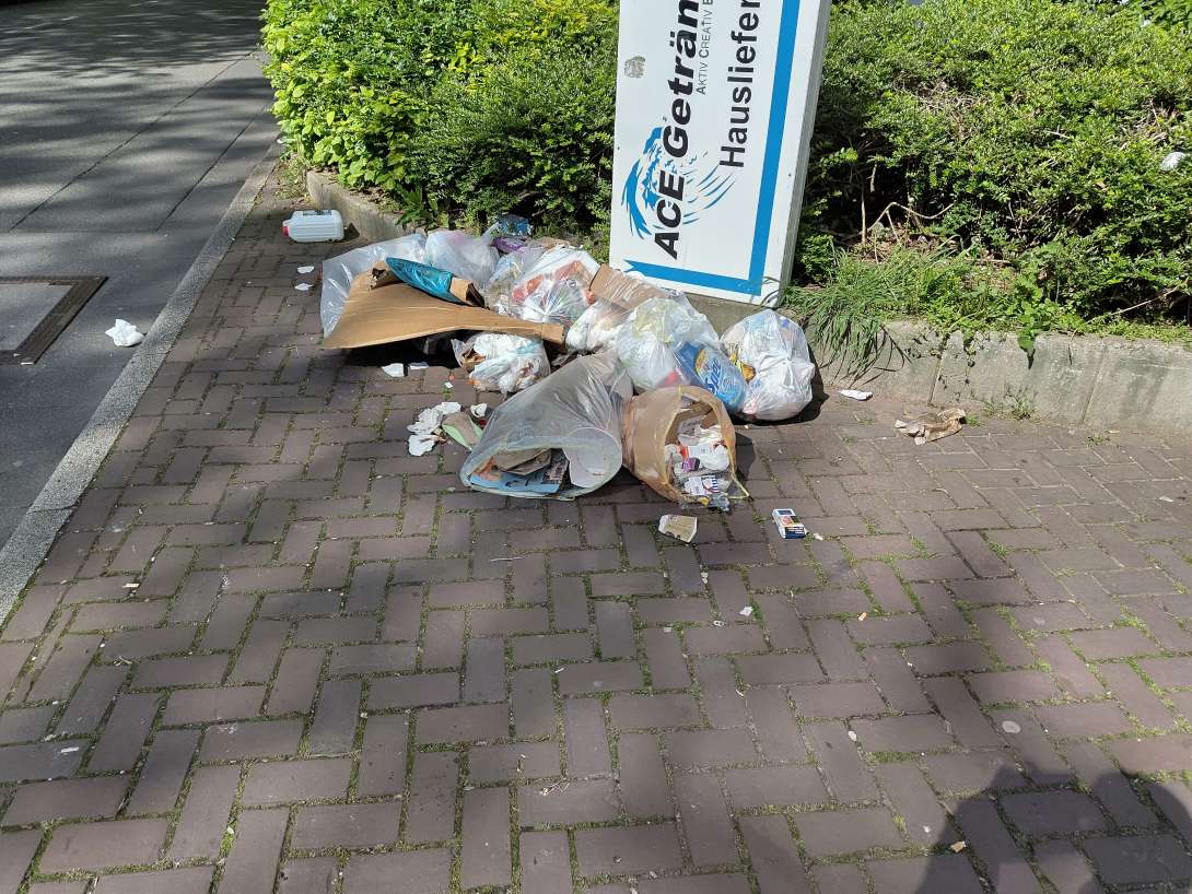 Bild zu gemeldetem Anliegen vom *2025-04-28 16:15:04