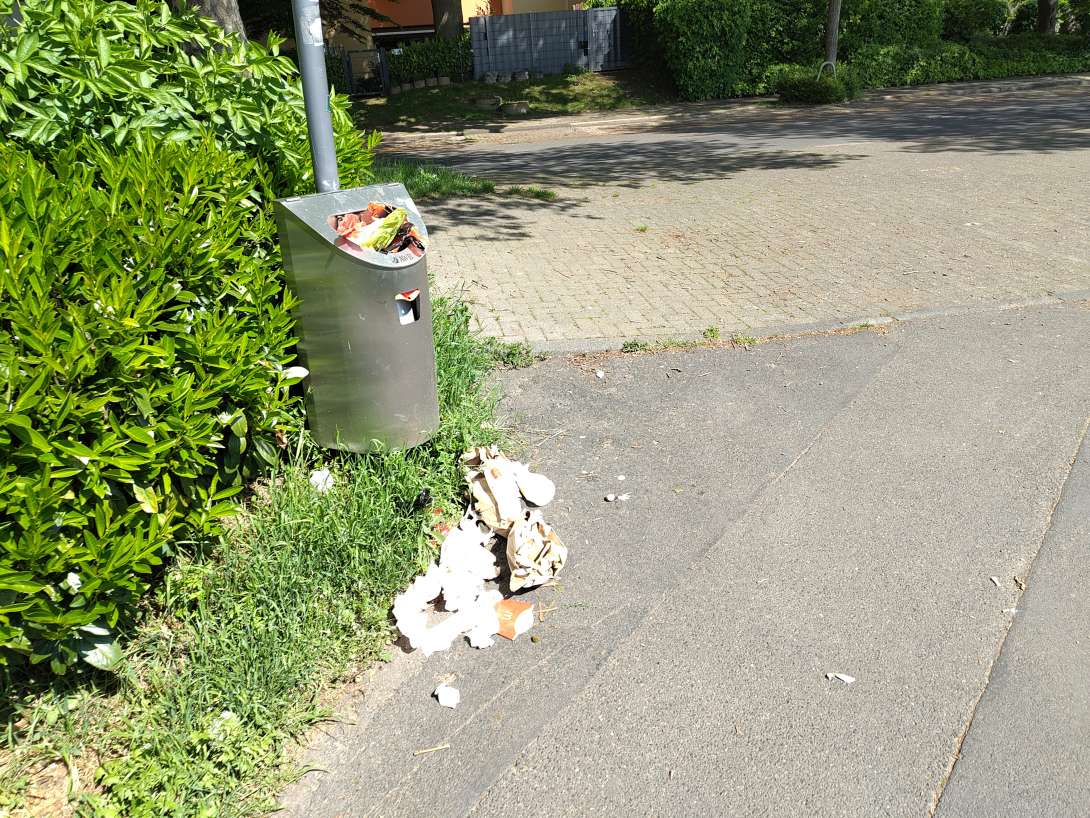 Bild zu gemeldetem Anliegen vom *2025-04-29 10:08:07