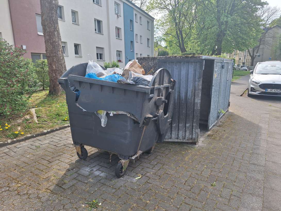 Bild zu gemeldetem Anliegen vom *2025-04-28 10:26:35