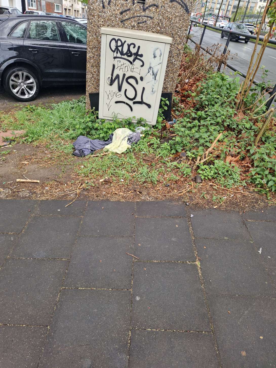 Bild zu gemeldetem Anliegen vom *2025-04-16 08:34:52
