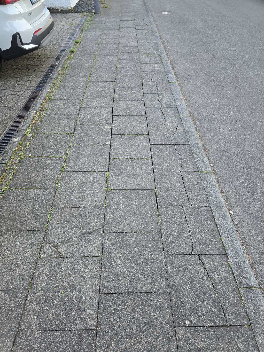 Bild zu gemeldetem Anliegen vom *2025-04-27 20:41:28