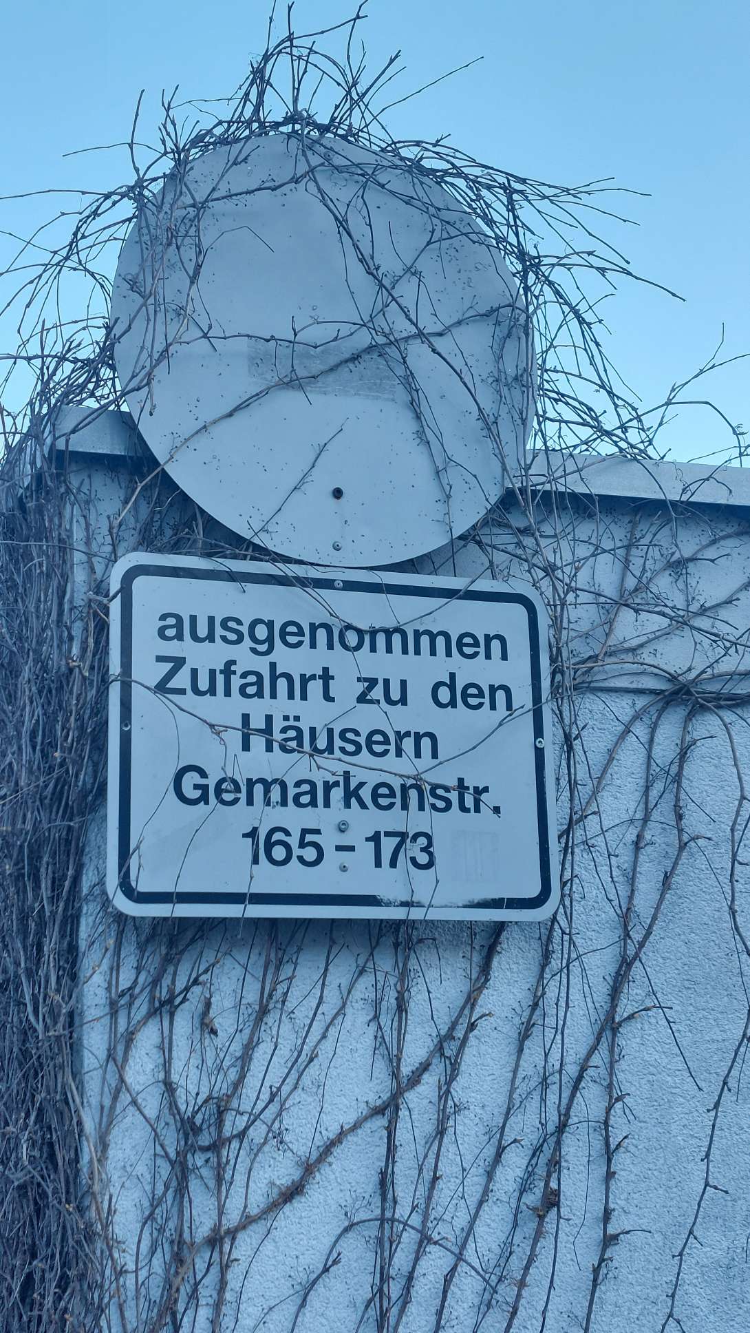 Bild zu gemeldetem Anliegen vom *2025-04-07 09:25:51