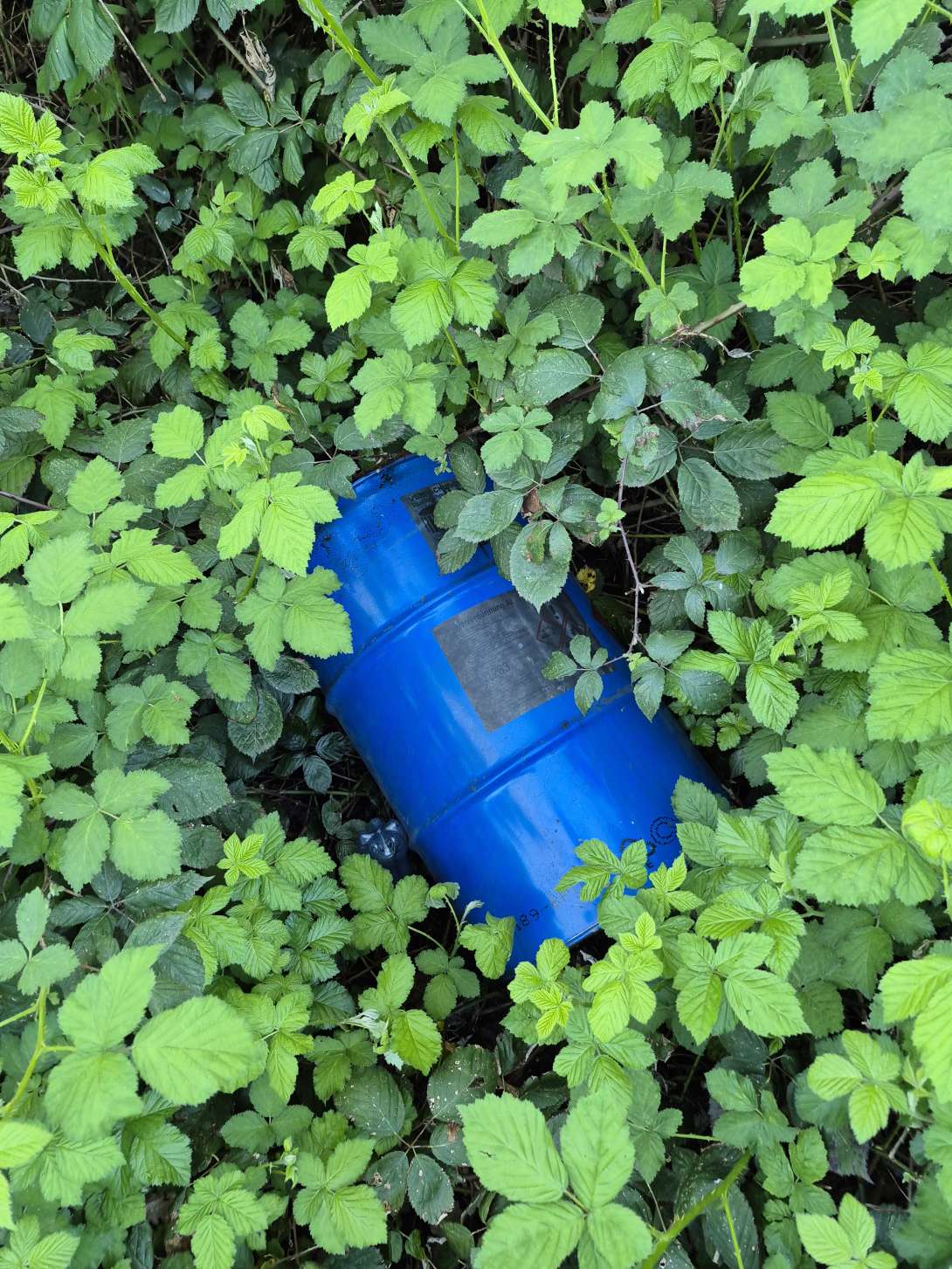 Bild zu gemeldetem Anliegen vom *2025-04-26 18:26:58