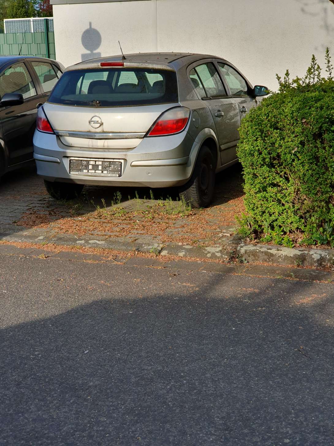 Bild zu gemeldetem Anliegen vom *2025-04-03 11:37:45