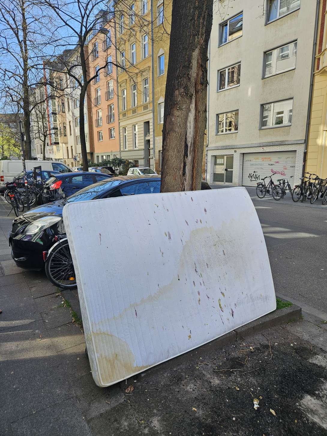 Bild zu gemeldetem Anliegen vom *2025-04-04 16:49:26