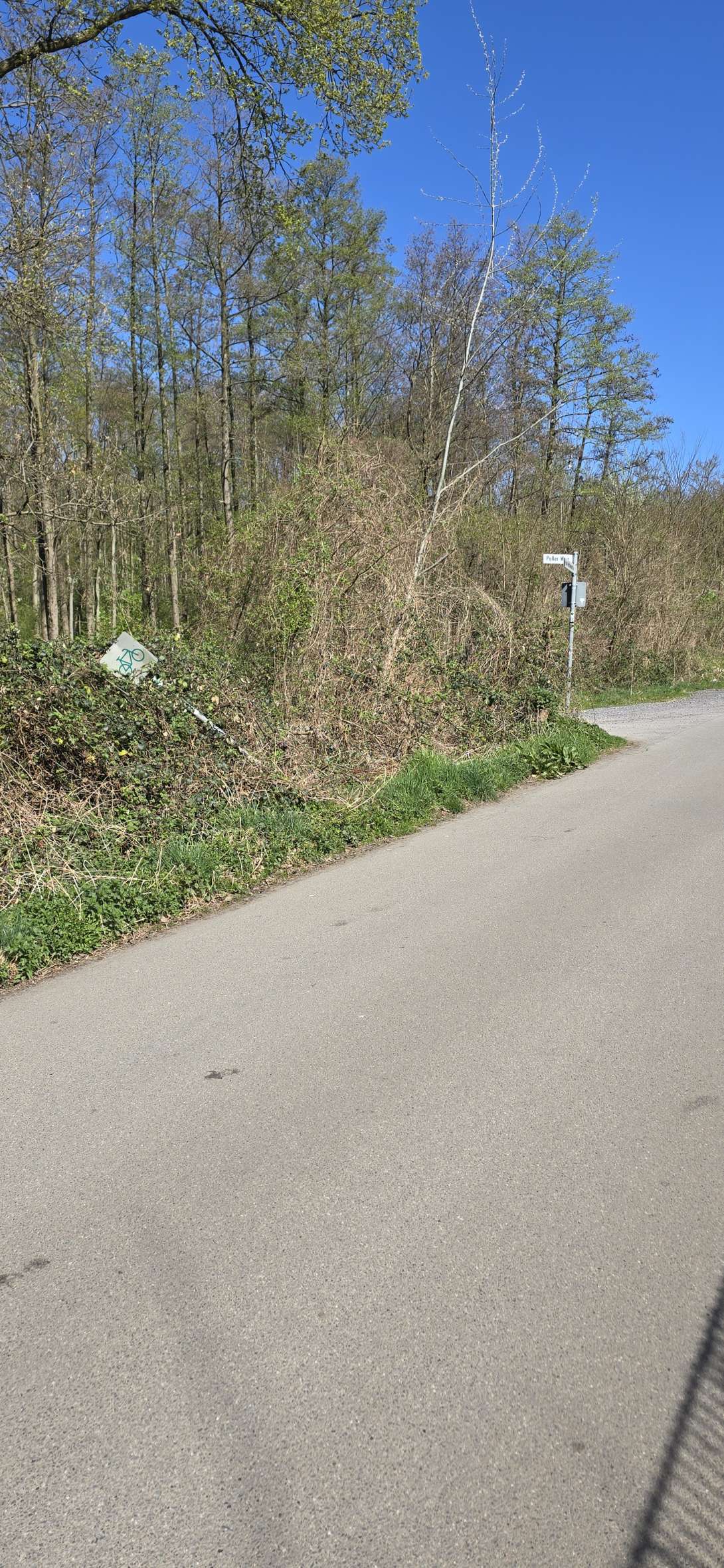 Bild zu gemeldetem Anliegen vom *2025-04-06 16:12:42