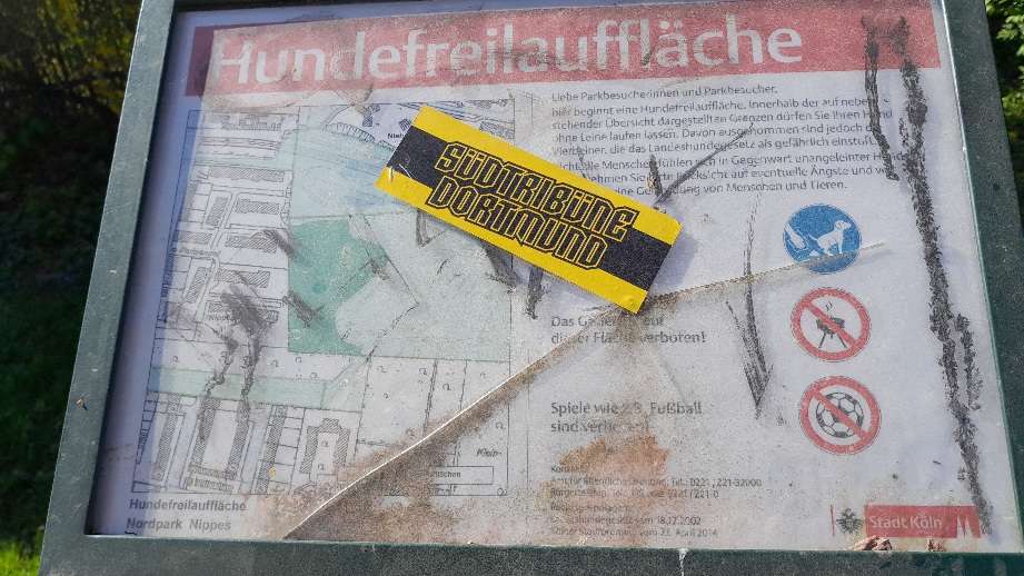 Bild zu gemeldetem Anliegen vom *2025-04-06 16:25:56