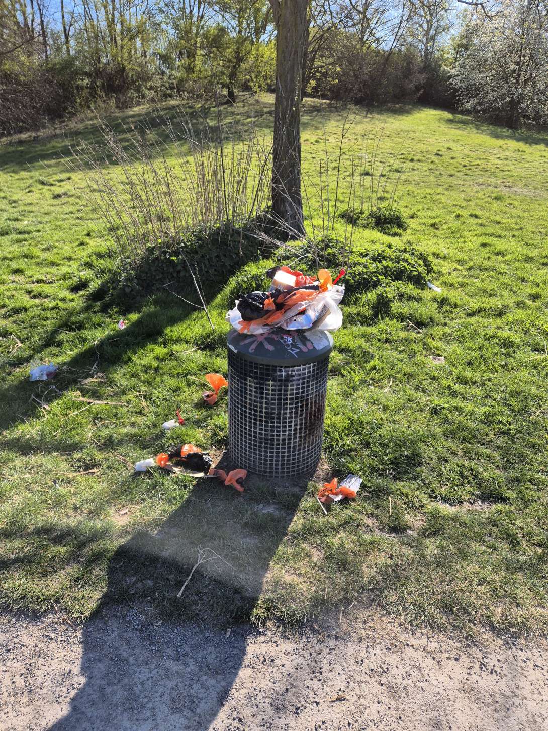 Bild zu gemeldetem Anliegen vom *2025-04-07 10:18:56