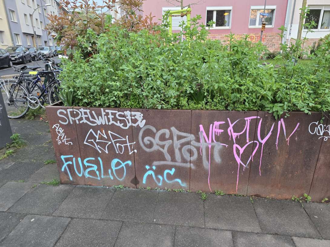 Bild zu gemeldetem Anliegen vom *2025-04-14 10:31:24
