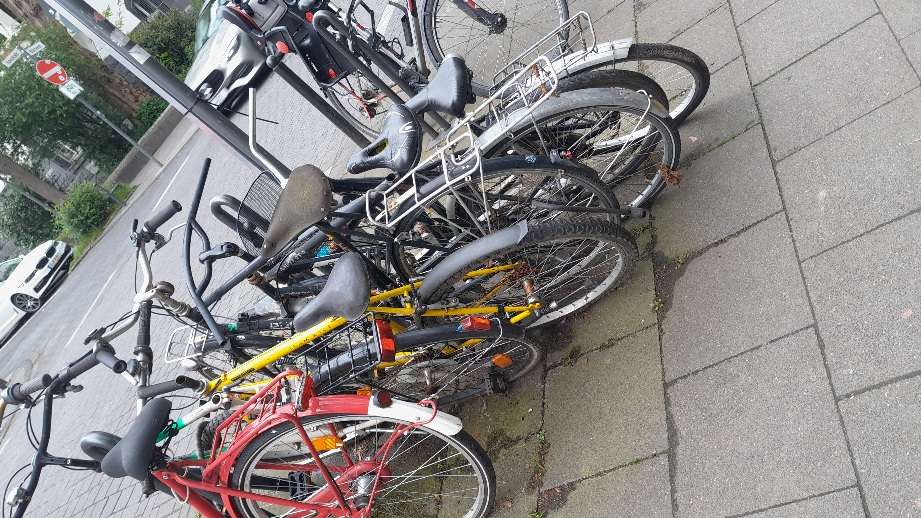 Bild zu gemeldetem Anliegen vom *2025-04-18 18:40:50