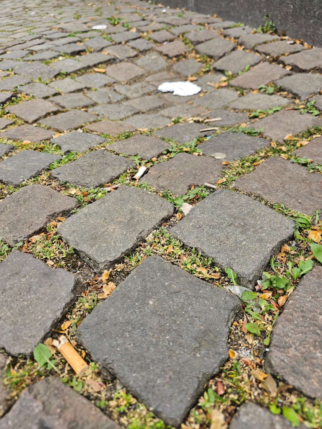 Bild zu gemeldetem Anliegen vom *2025-04-15 13:47:22