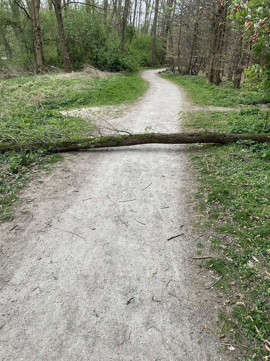 Bild zu gemeldetem Anliegen vom *2025-04-10 09:33:35
