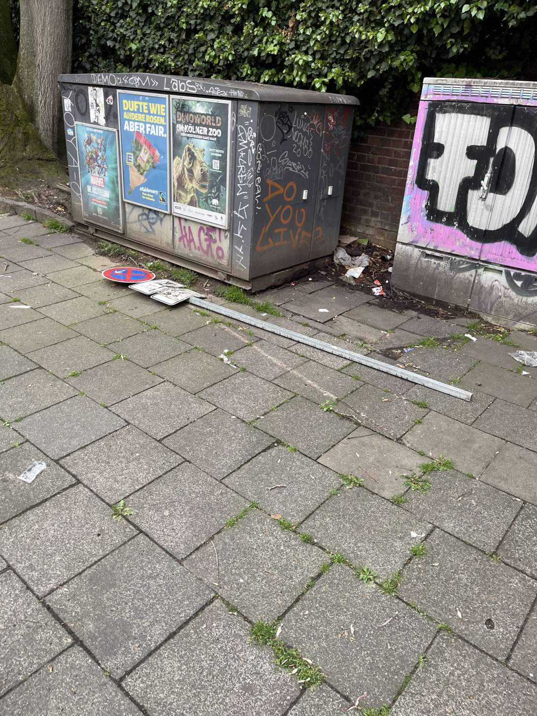 Bild zu gemeldetem Anliegen vom *2025-04-22 09:32:15
