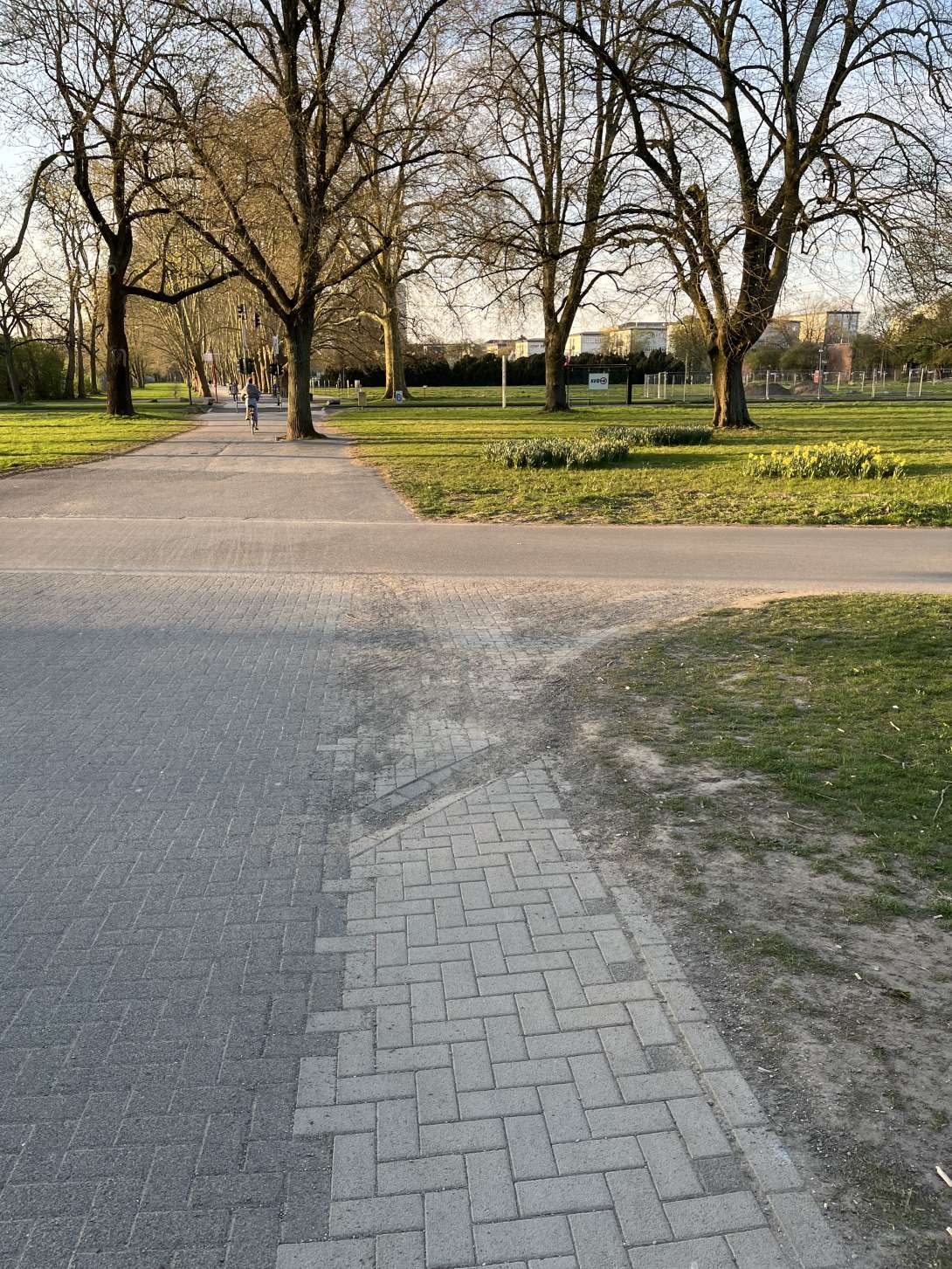 Bild zu gemeldetem Anliegen vom *2025-04-08 07:33:51