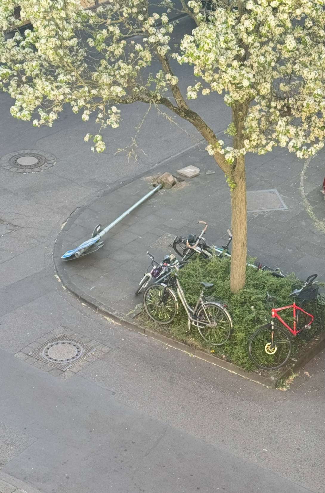 Bild zu gemeldetem Anliegen vom *2025-04-03 18:43:00