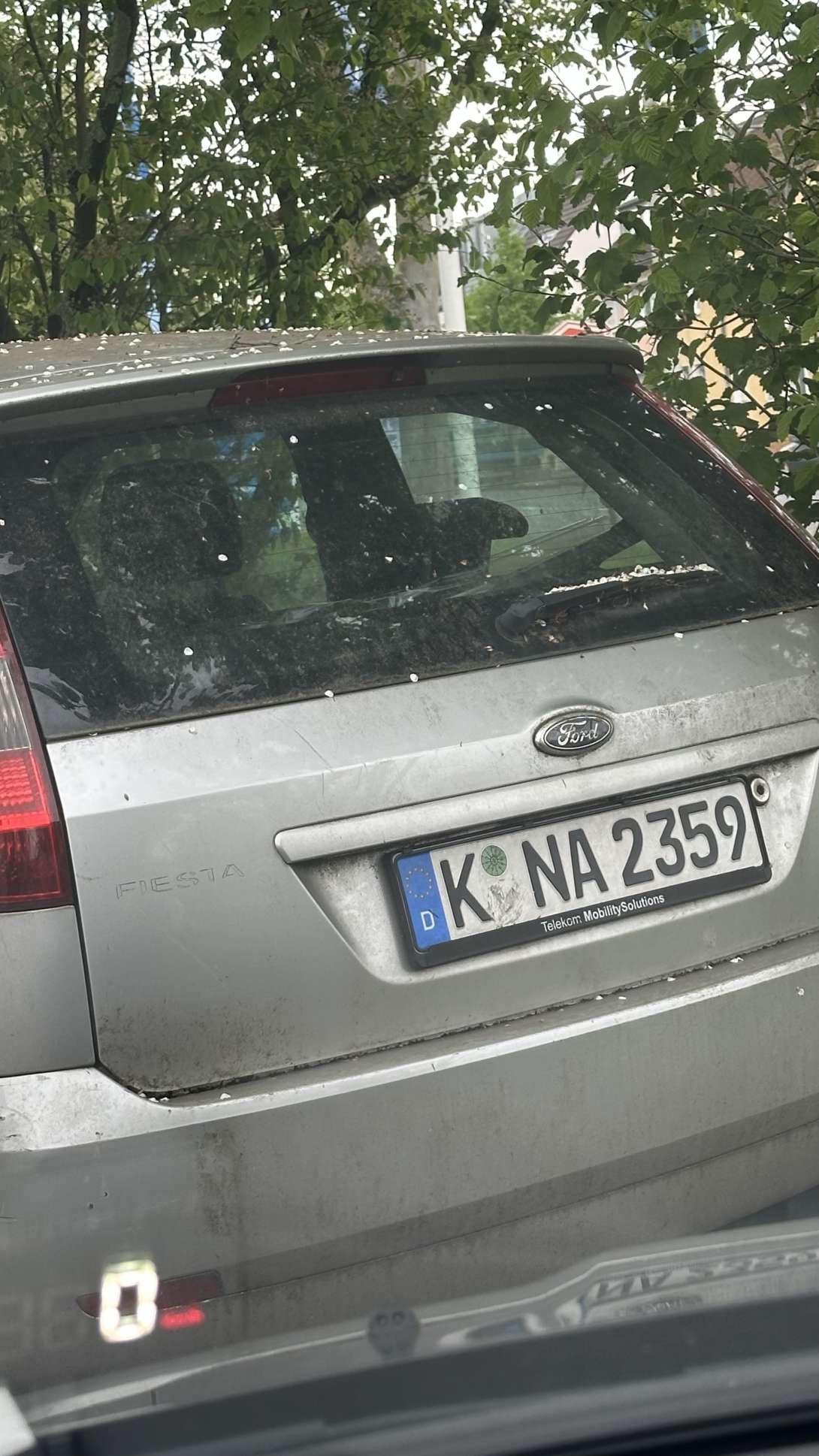 Bild zu gemeldetem Anliegen vom *2025-04-18 15:28:50