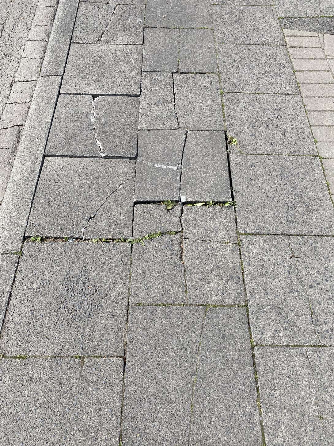 Bild zu gemeldetem Anliegen vom *2025-04-27 11:43:55