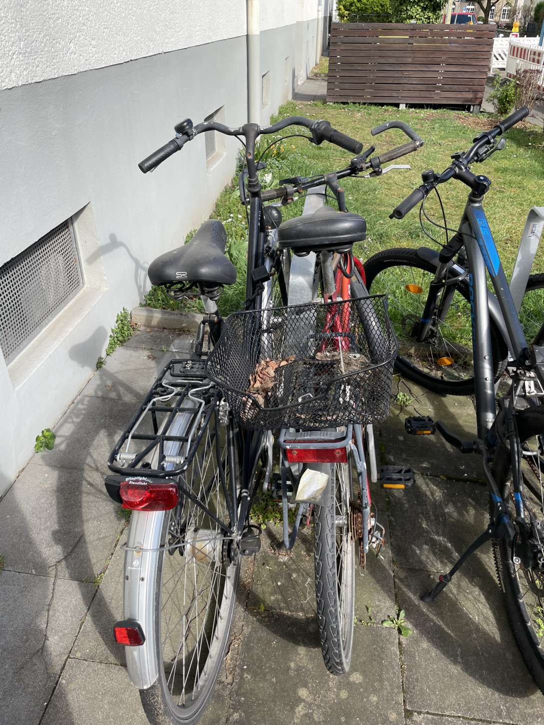 Bild zu gemeldetem Anliegen vom *2025-04-01 13:31:59
