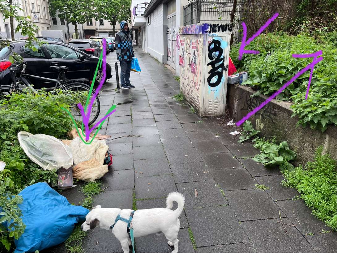Bild zu gemeldetem Anliegen vom *2025-04-24 19:40:09