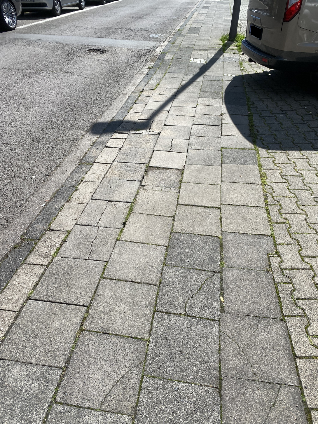Bild zu gemeldetem Anliegen vom *2025-04-26 13:02:49