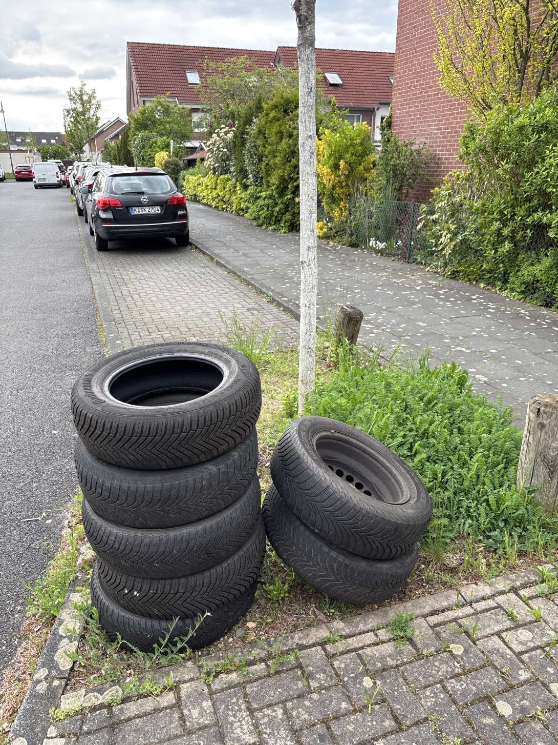 Bild zu gemeldetem Anliegen vom *2025-04-21 17:47:36
