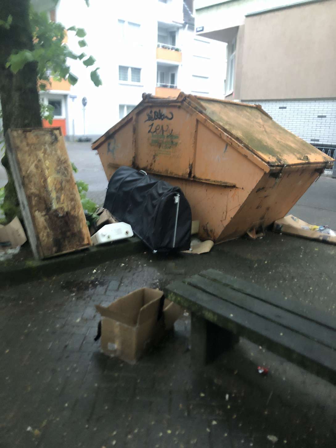Bild zu gemeldetem Anliegen vom *2025-04-23 20:26:17
