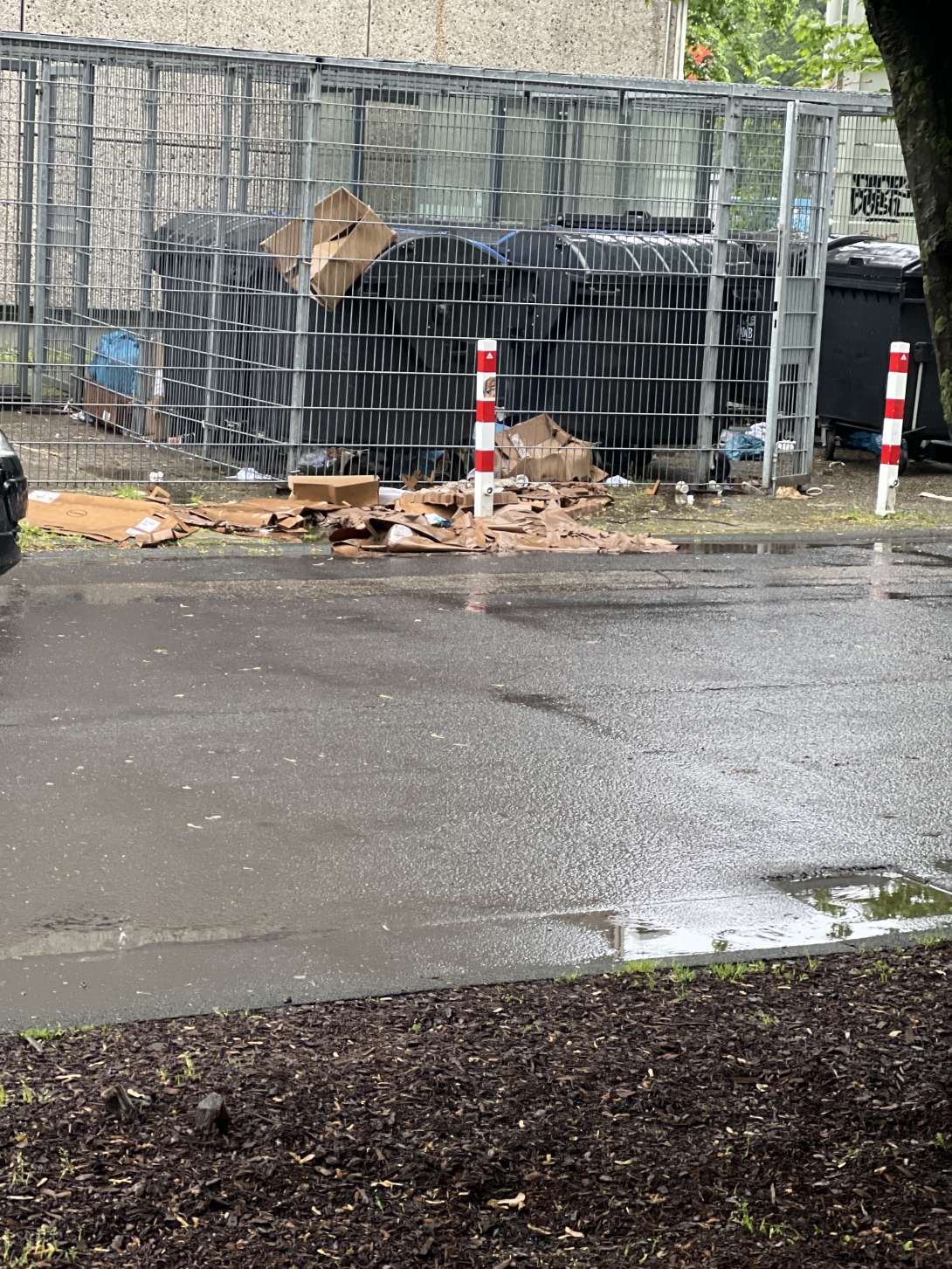 Bild zu gemeldetem Anliegen vom *2025-04-24 08:07:15