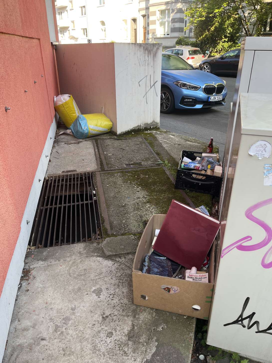 Bild zu gemeldetem Anliegen vom *2025-04-28 11:39:11