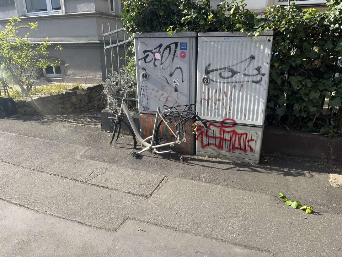Bild zu gemeldetem Anliegen vom *2025-04-07 10:19:31