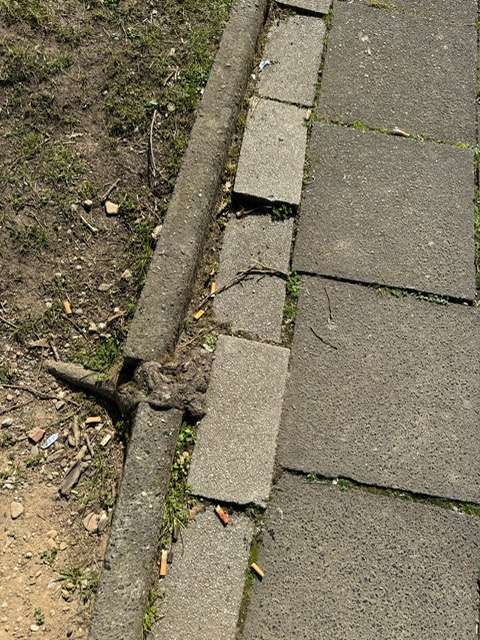 Bild zu gemeldetem Anliegen vom *2025-04-17 14:03:32