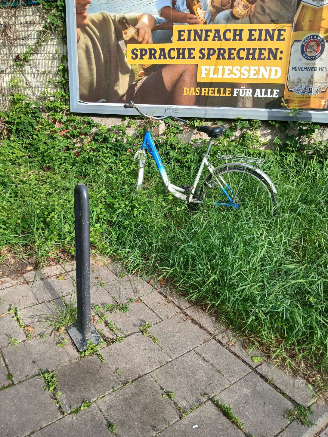 Bild zu gemeldetem Anliegen vom *2025-05-09 13:22:43