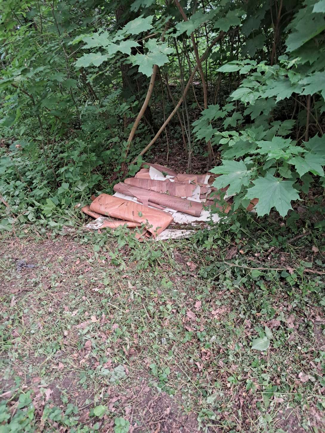 Bild zu gemeldetem Anliegen vom *2025-05-27 13:39:57