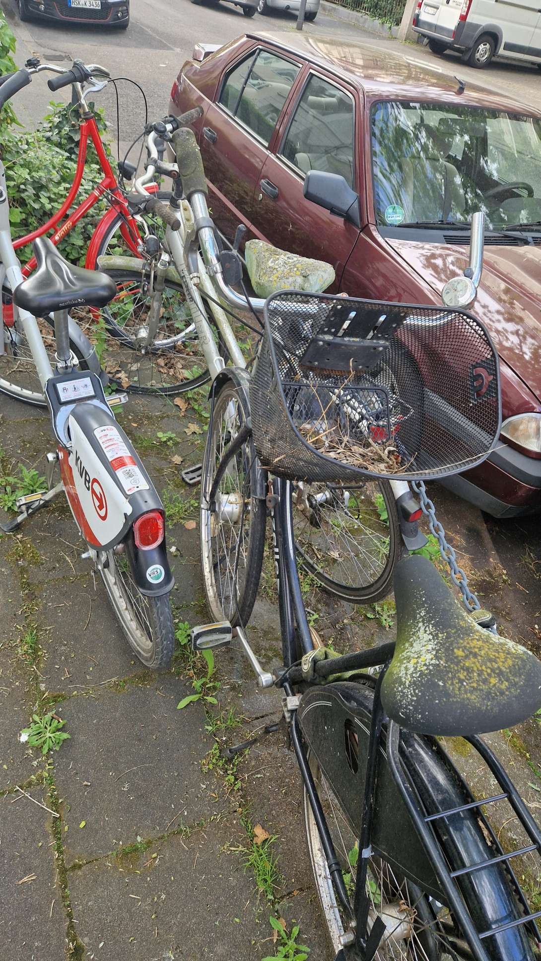 Zwei verwucherte Räder. Stehen dort bereits über ein Jahr unbewegt. *2025-05-07 15:28:42