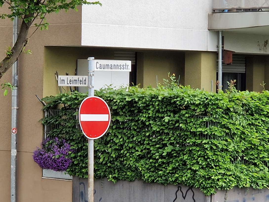 Bild zu gemeldetem Anliegen vom *2025-05-04 12:11:46