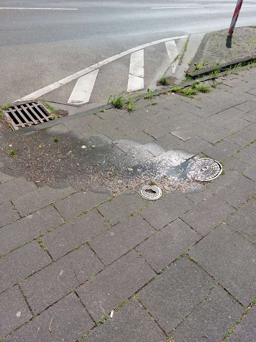 Bild zu gemeldetem Anliegen vom *2025-05-12 06:33:17