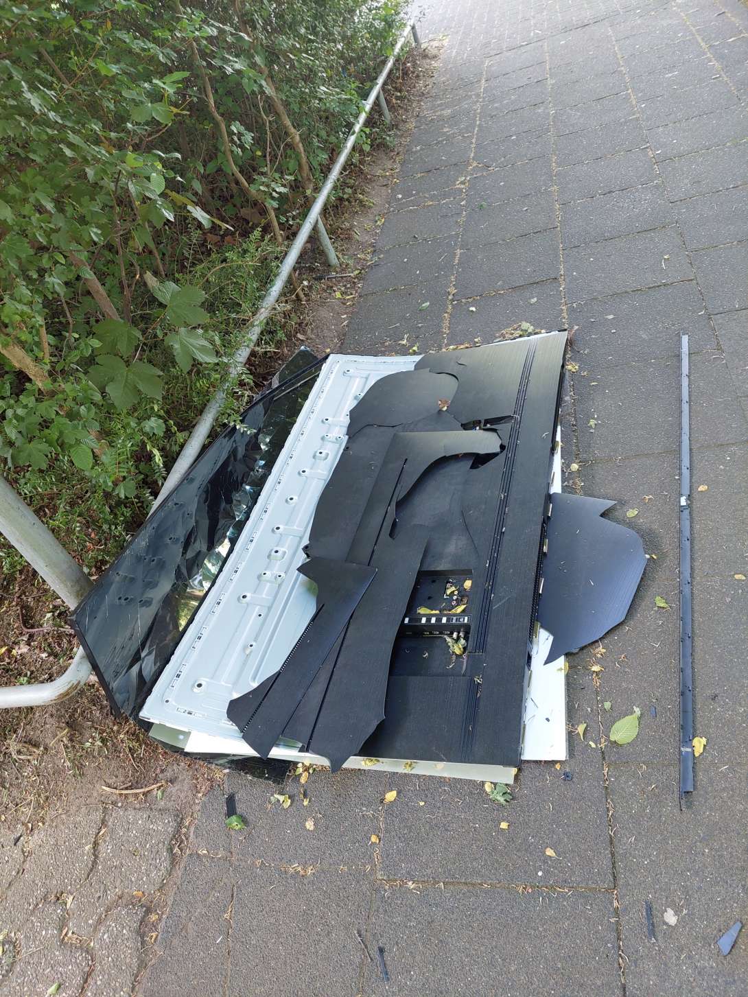 Bild zu gemeldetem Anliegen vom *2025-05-09 18:19:31