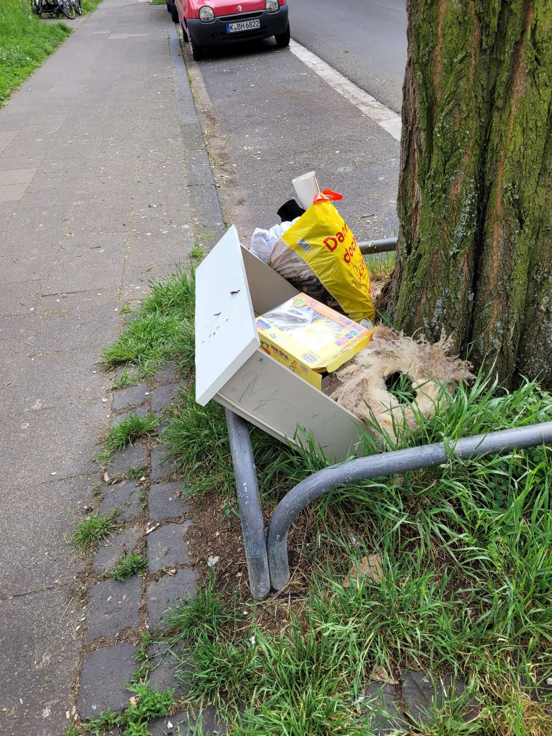 Bild zu gemeldetem Anliegen vom *2025-05-05 18:32:49