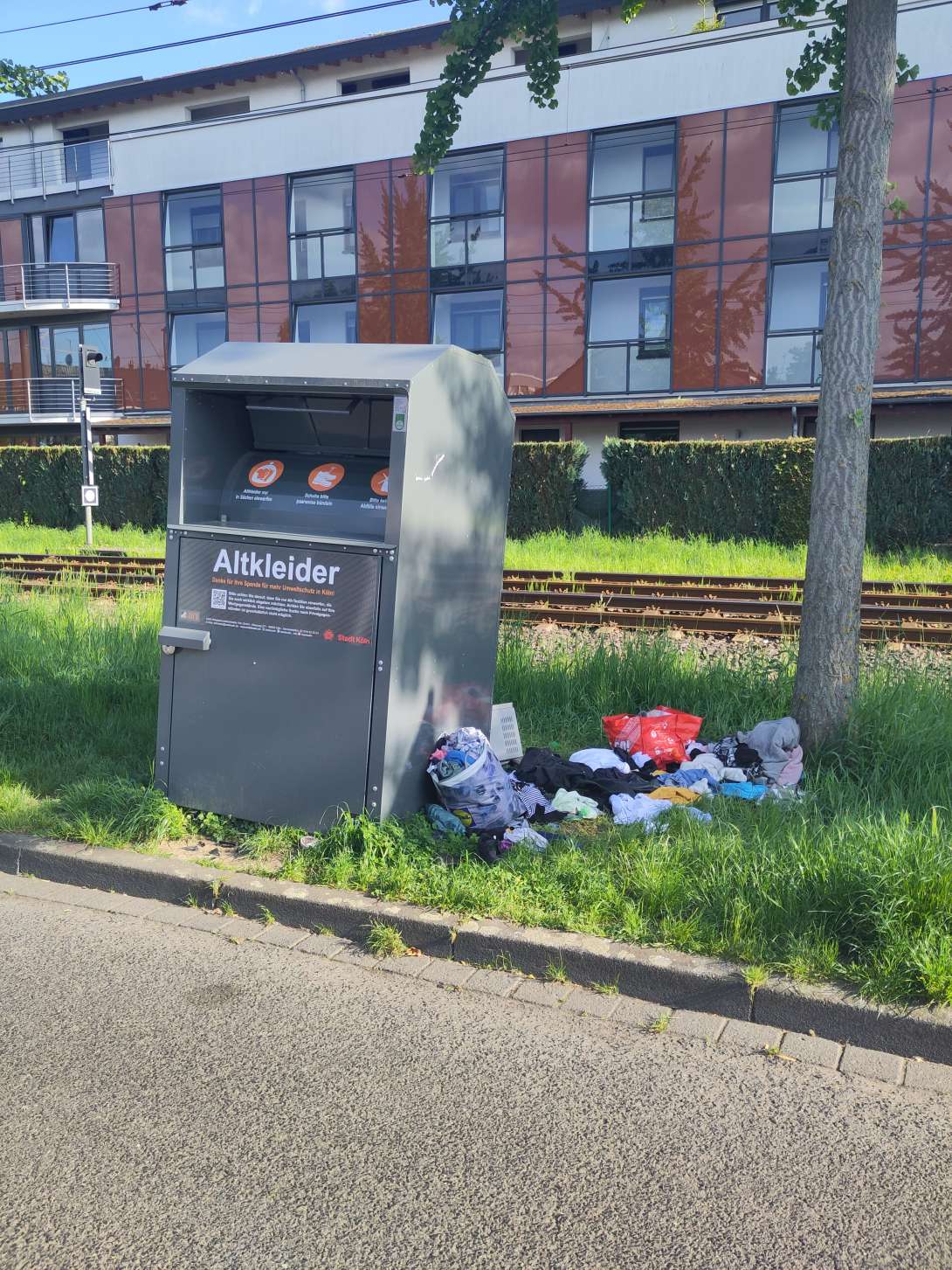 Bild zu gemeldetem Anliegen vom *2025-05-06 18:05:57