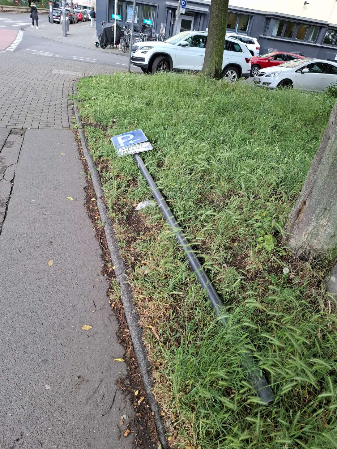Bild zu gemeldetem Anliegen vom *2025-05-28 10:31:32