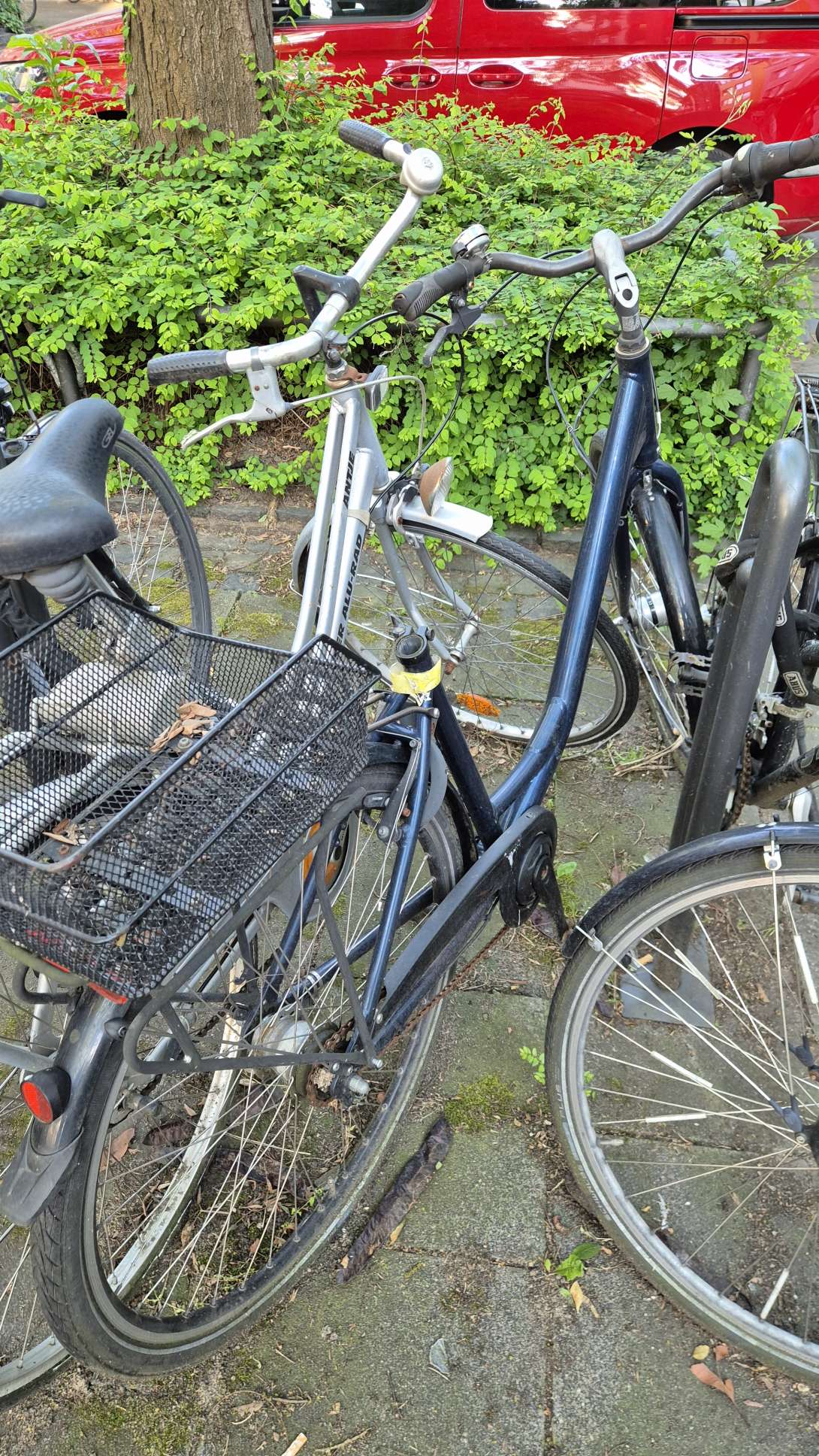 Bild zu gemeldetem Anliegen vom *2025-05-12 09:32:20