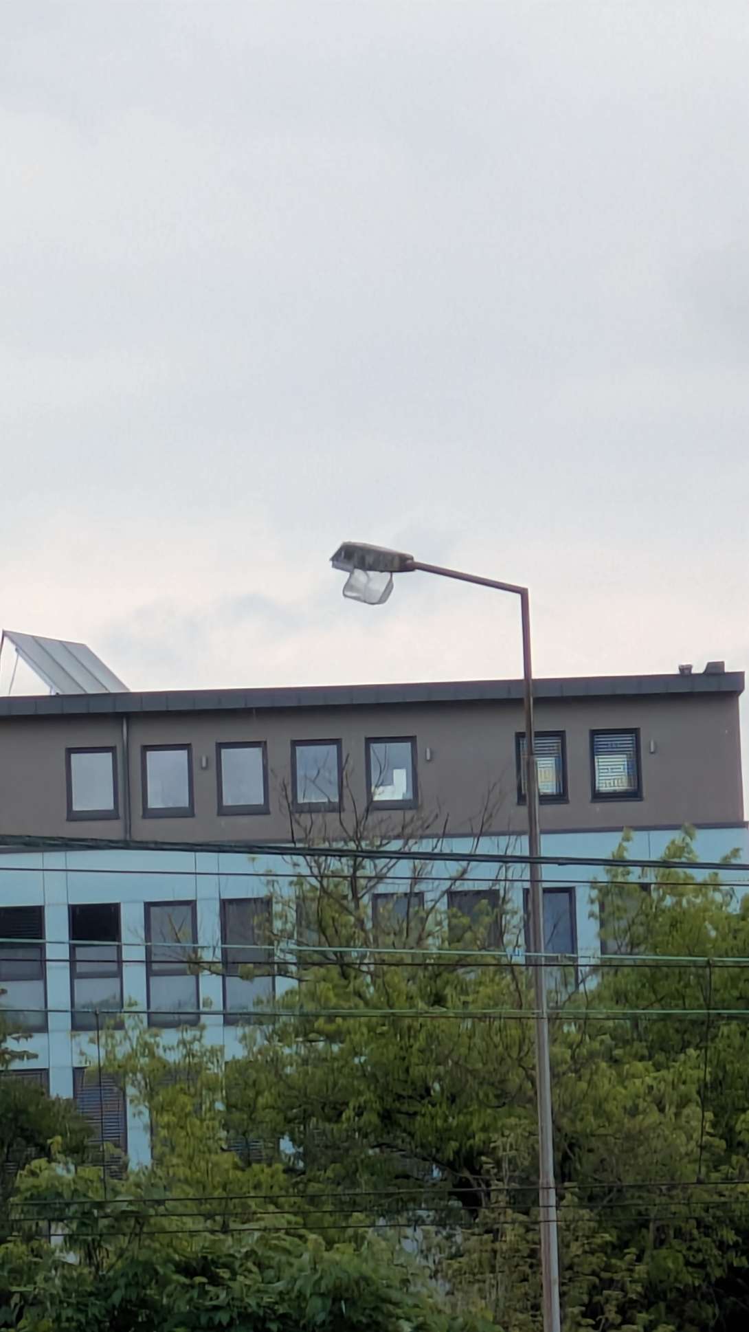 Bild zu gemeldetem Anliegen vom *2025-05-04 12:24:31