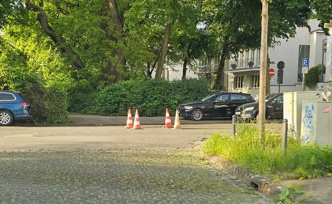 Bild zu gemeldetem Anliegen vom *2025-05-06 10:01:23