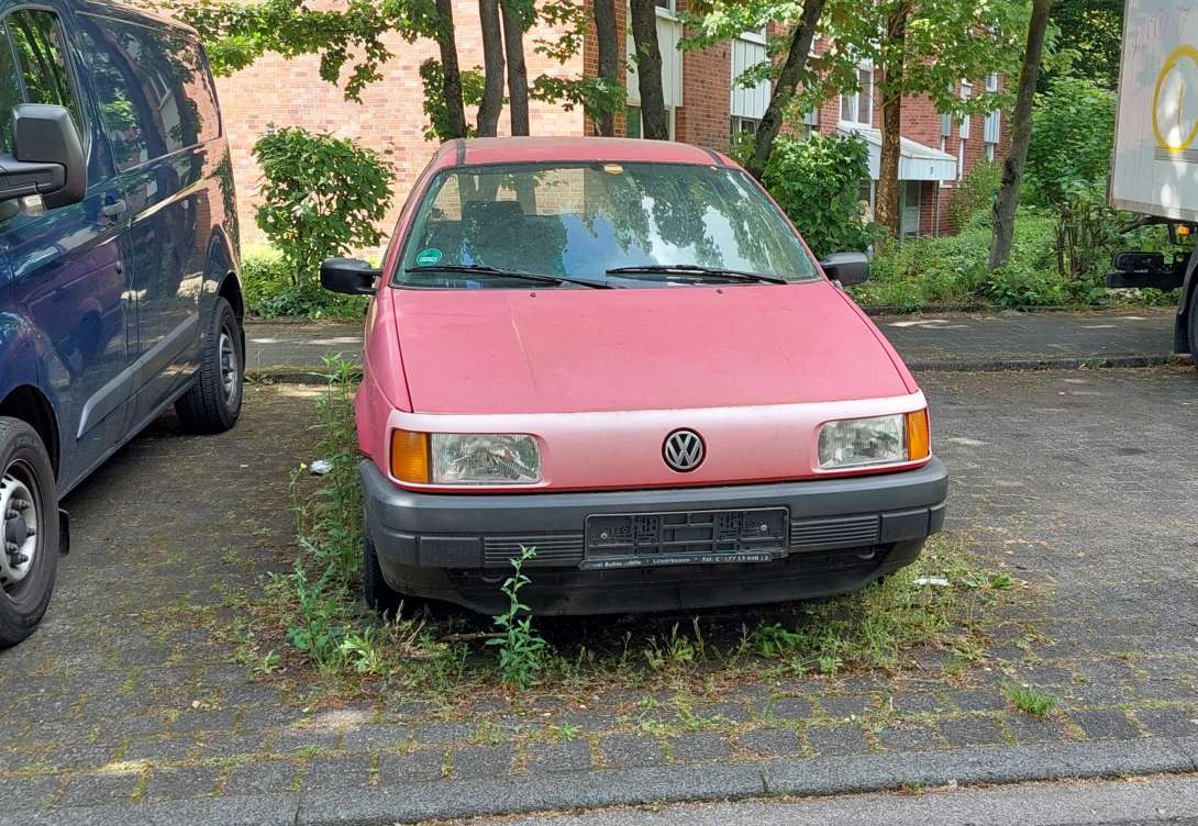 Bild zu gemeldetem Anliegen vom *2025-05-08 15:31:59