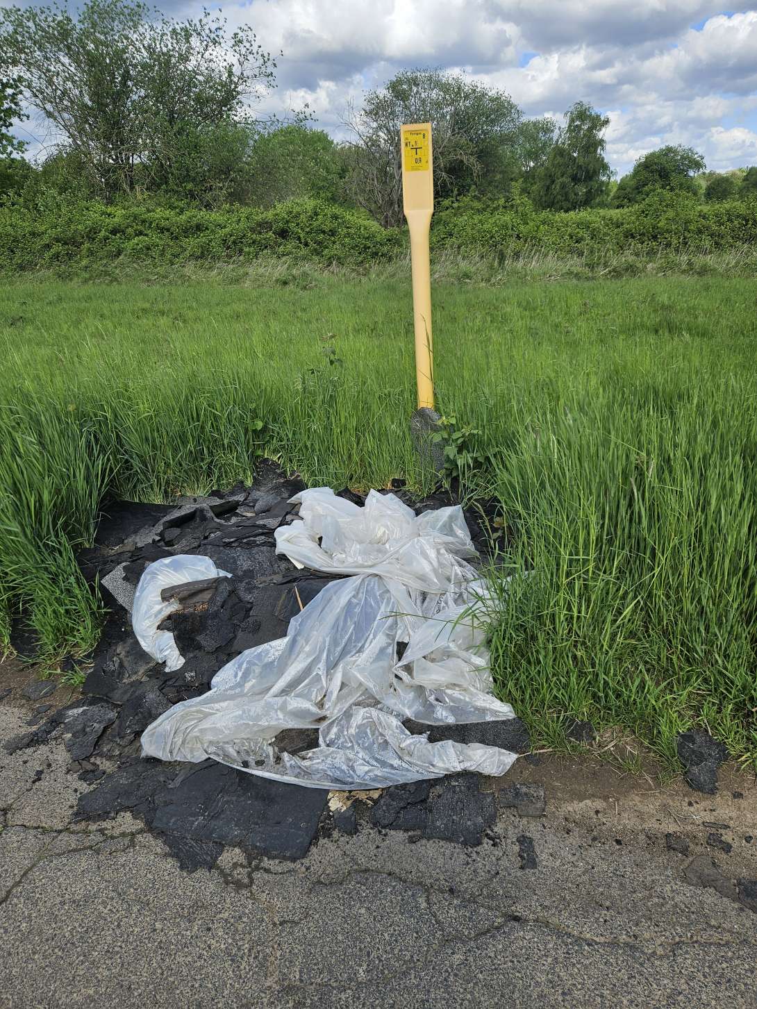 Bild zu gemeldetem Anliegen vom *2025-05-05 12:30:30