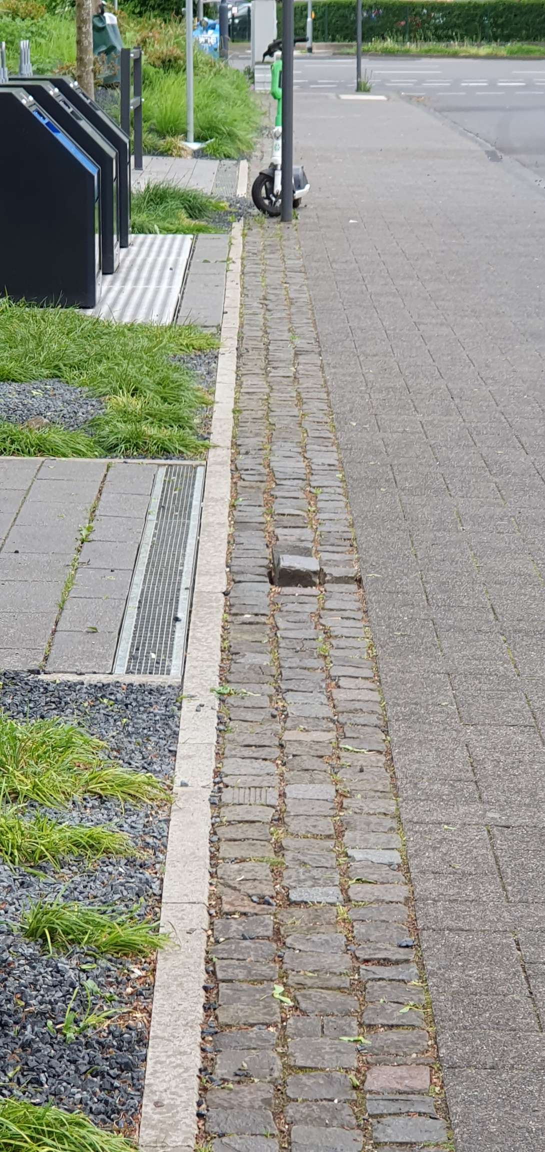 Bild zu gemeldetem Anliegen vom *2025-05-04 10:52:01