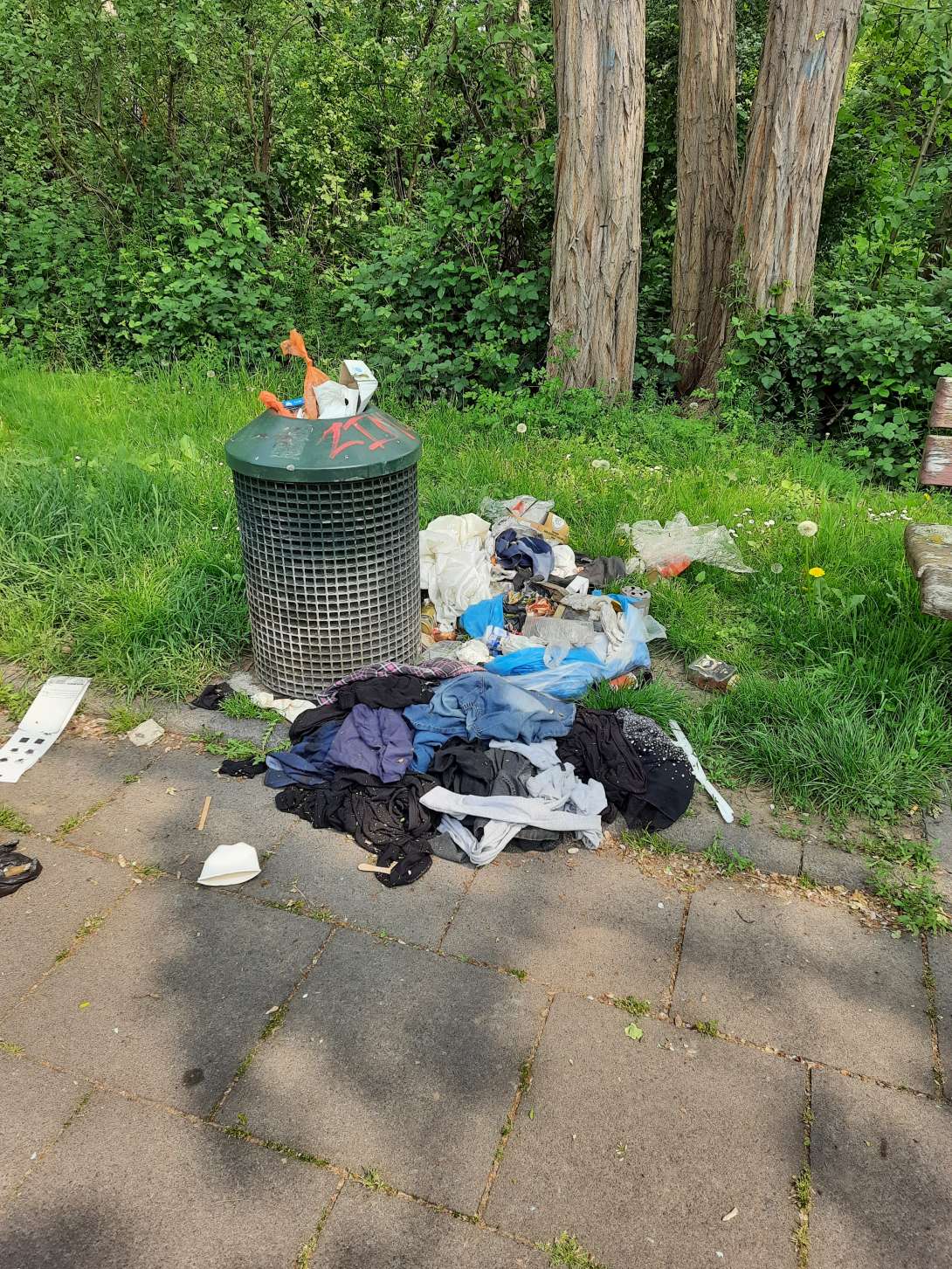 Bild zu gemeldetem Anliegen vom *2025-05-03 15:50:17