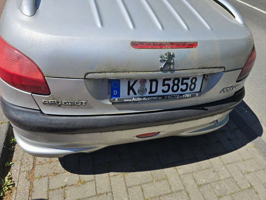 Bild zu gemeldetem Anliegen vom *2025-05-10 13:51:42