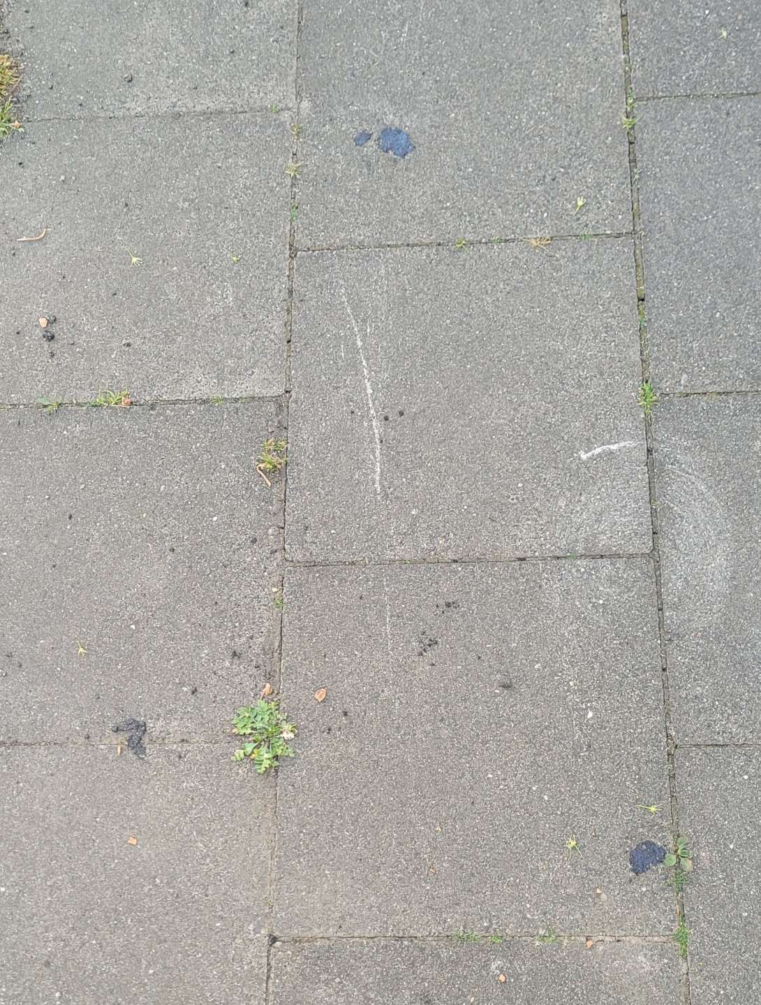 Bild zu gemeldetem Anliegen vom *2025-05-11 16:47:42