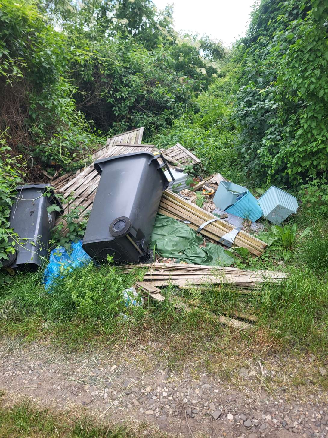 Bild zu gemeldetem Anliegen vom *2025-05-21 13:23:26