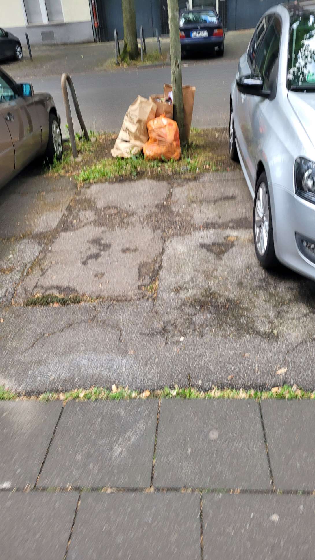 Bild zu gemeldetem Anliegen vom *2025-05-26 13:46:05